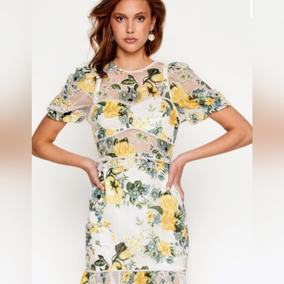 Alice McCall Dresses & Skirts - ALICE MCCALL Dress || Size 2